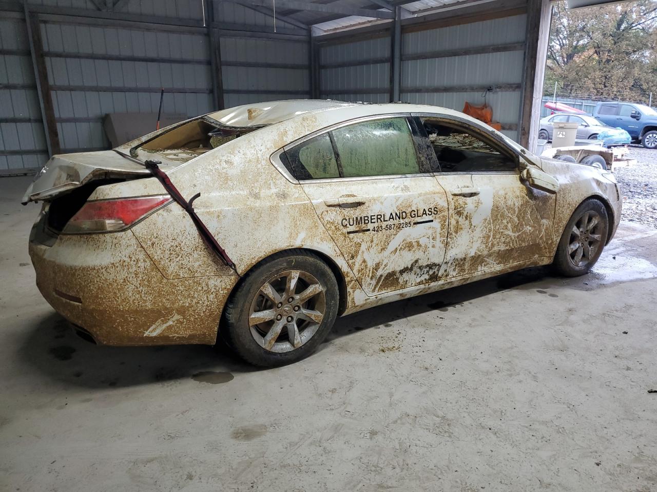 Фото: 19UUA8F25CA034036