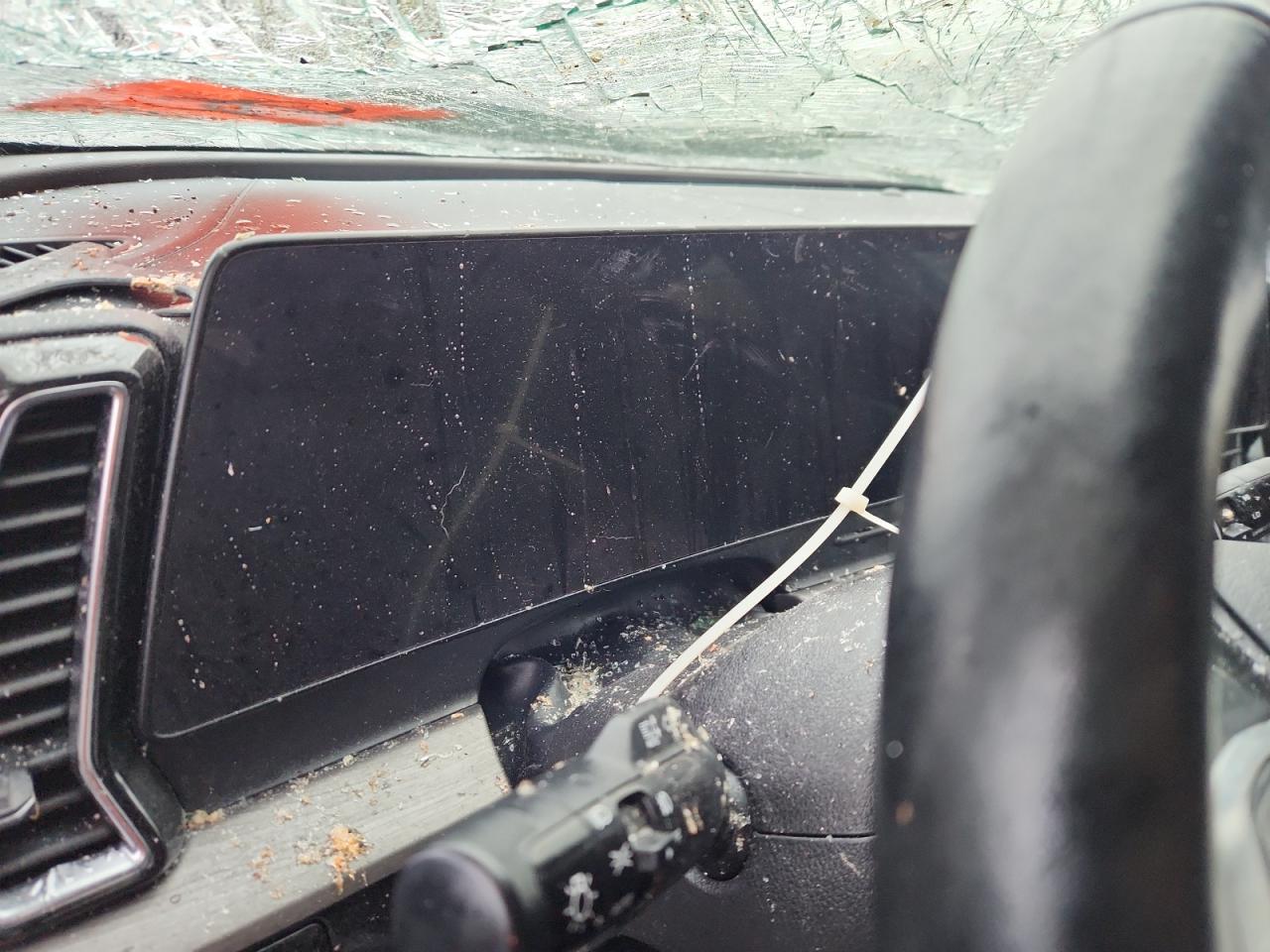 2023 Kia Sportage X-Pro VIN: 5XYK7CAF1PG010971 Lot: 86283665