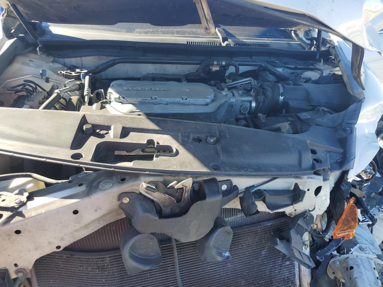 2009 Honda Accord Exl VIN: 1HGCP36879A038826 Lot: 90362955