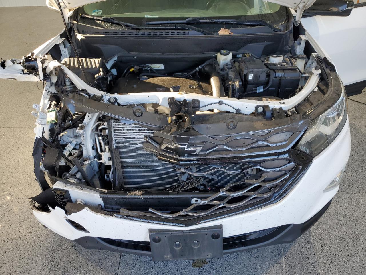 2019 Chevrolet Equinox Lt VIN: 2GNAXVEX0K6272424 Lot: 82463785