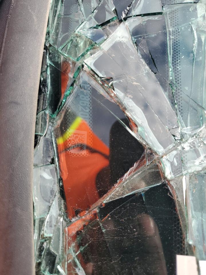 2024 Ford F450 Super Duty VIN: 1FD0W4HT3REF86208 Lot: 84394535