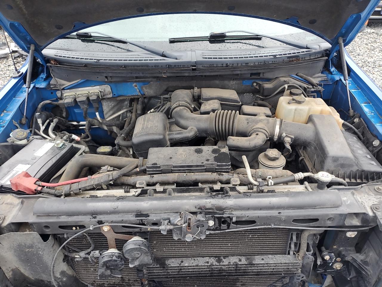 2010 Ford F150 Super Cab VIN: 1FTFX1EV7AFB45633 Lot: 84885675