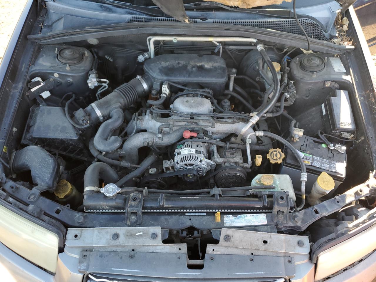 2006 Subaru Forester 2.5X Premium VIN: JF1SG65626H754232 Lot: 81947905
