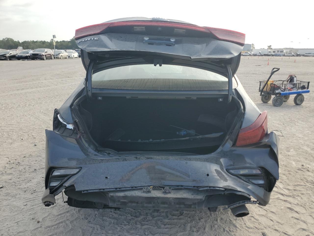 2020 Kia Forte Fe VIN: 3KPF24AD4LE154428 Lot: 89802645