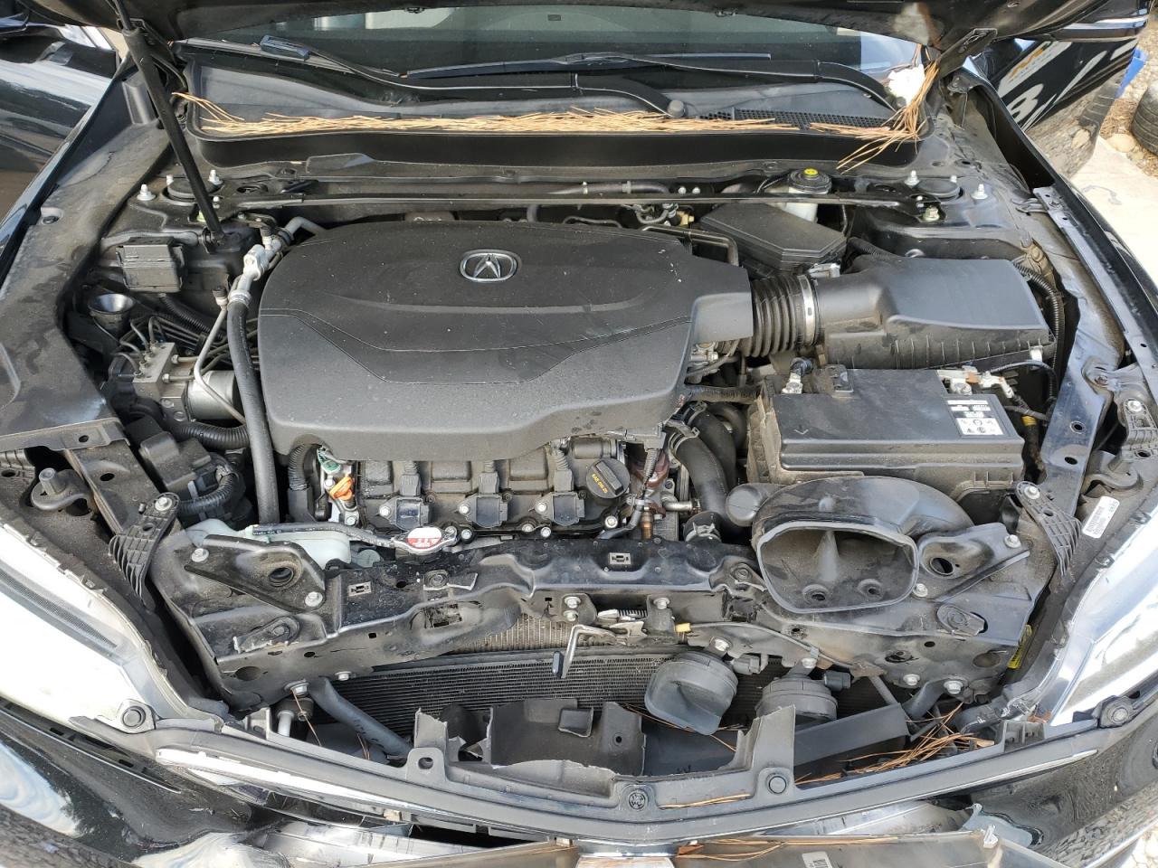 2016 Acura Tlx Tech VIN: 19UUB3F56GA000624 Lot: 81908725