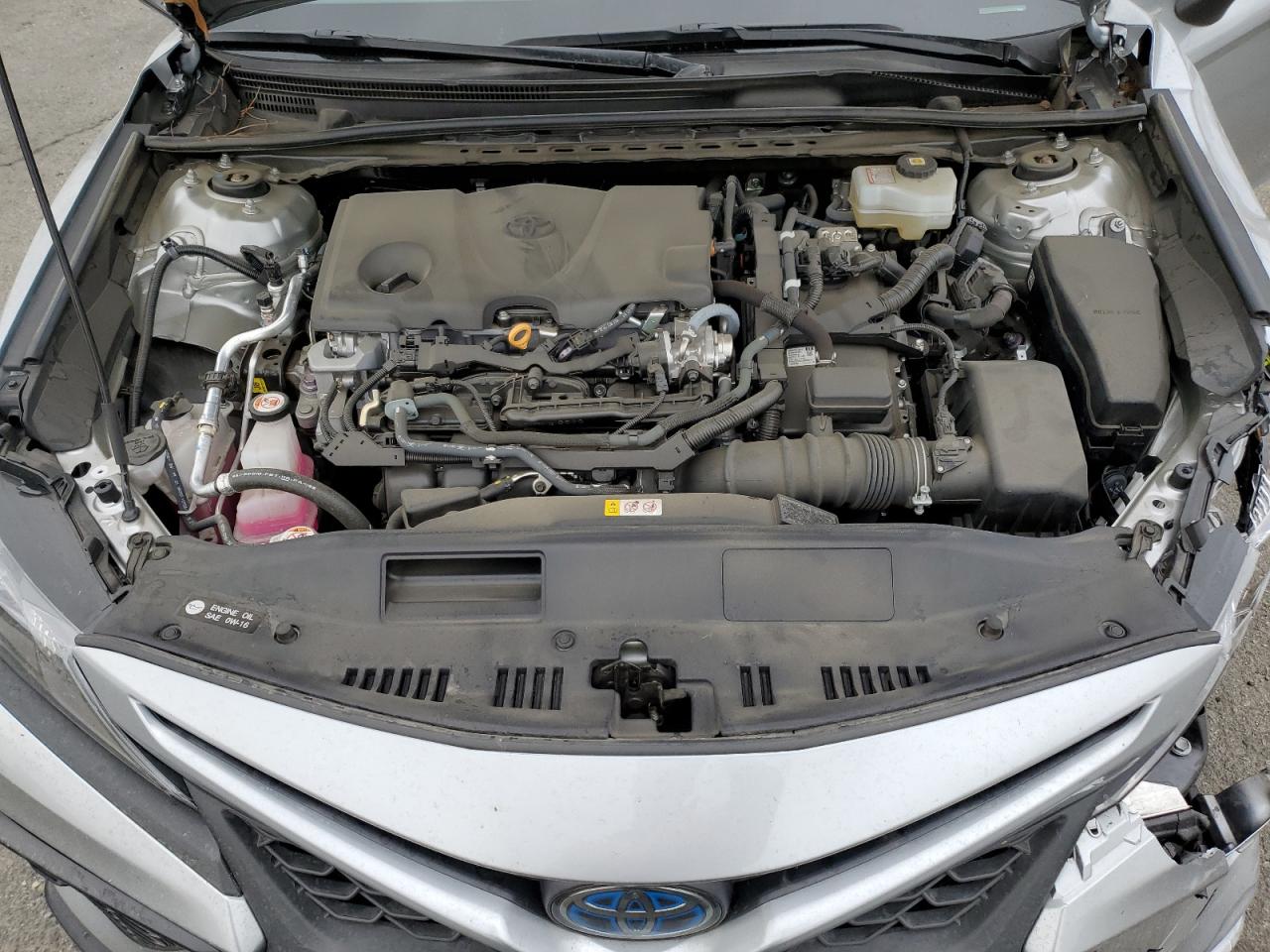 2023 Toyota Camry Se Night Shade VIN: 4T1G31AK5PU608624 Lot: 84833985