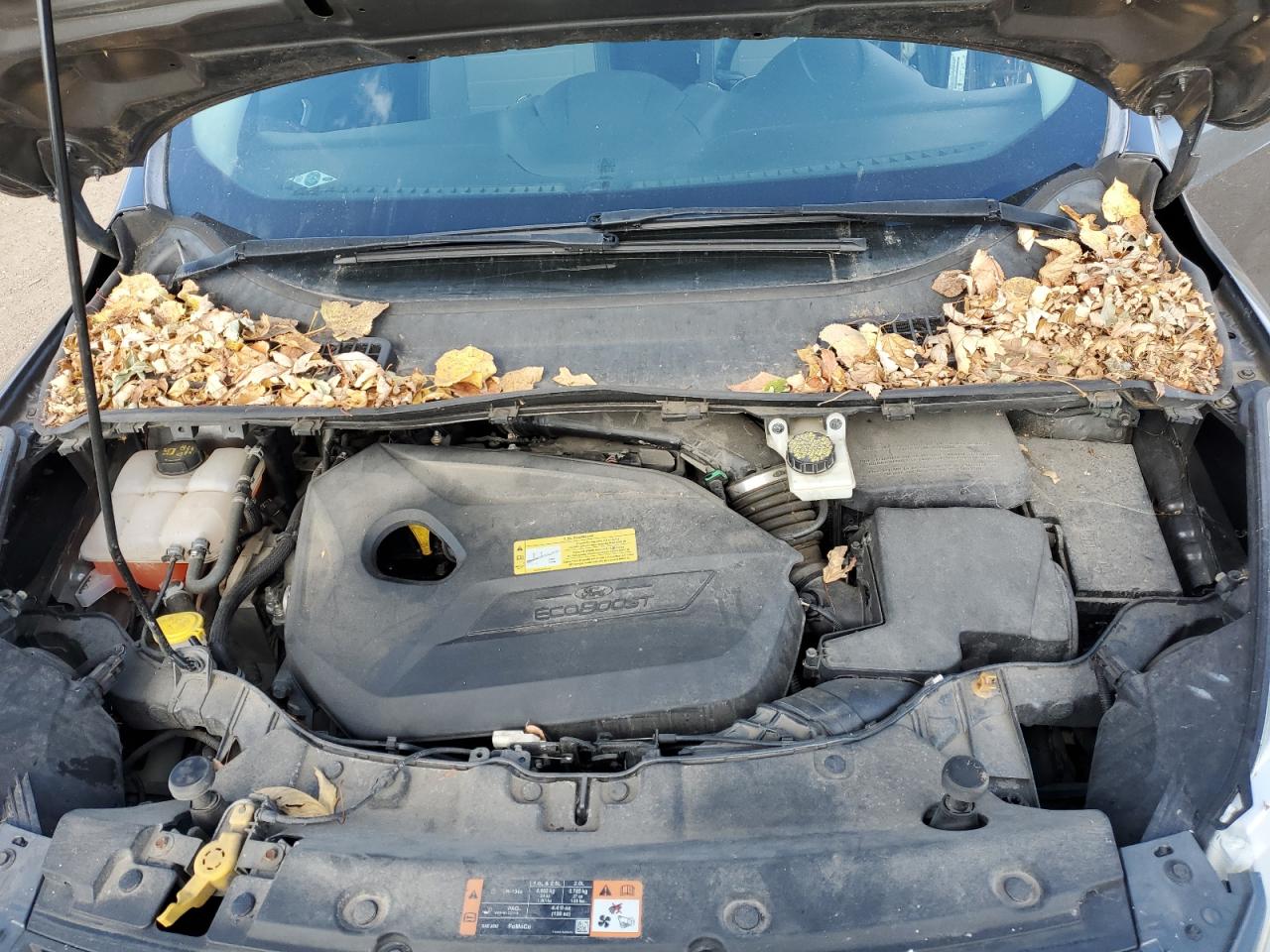 2014 Ford Escape Se VIN: 1FMCU0GX2EUC66667 Lot: 90549365