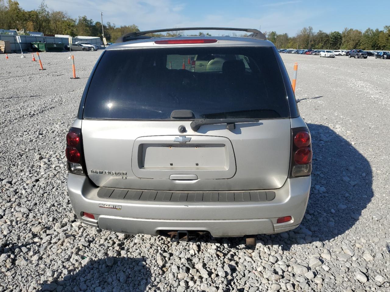 2008 Chevrolet Trailblazer Ls VIN: 1GNDT13S182202008 Lot: 86446325