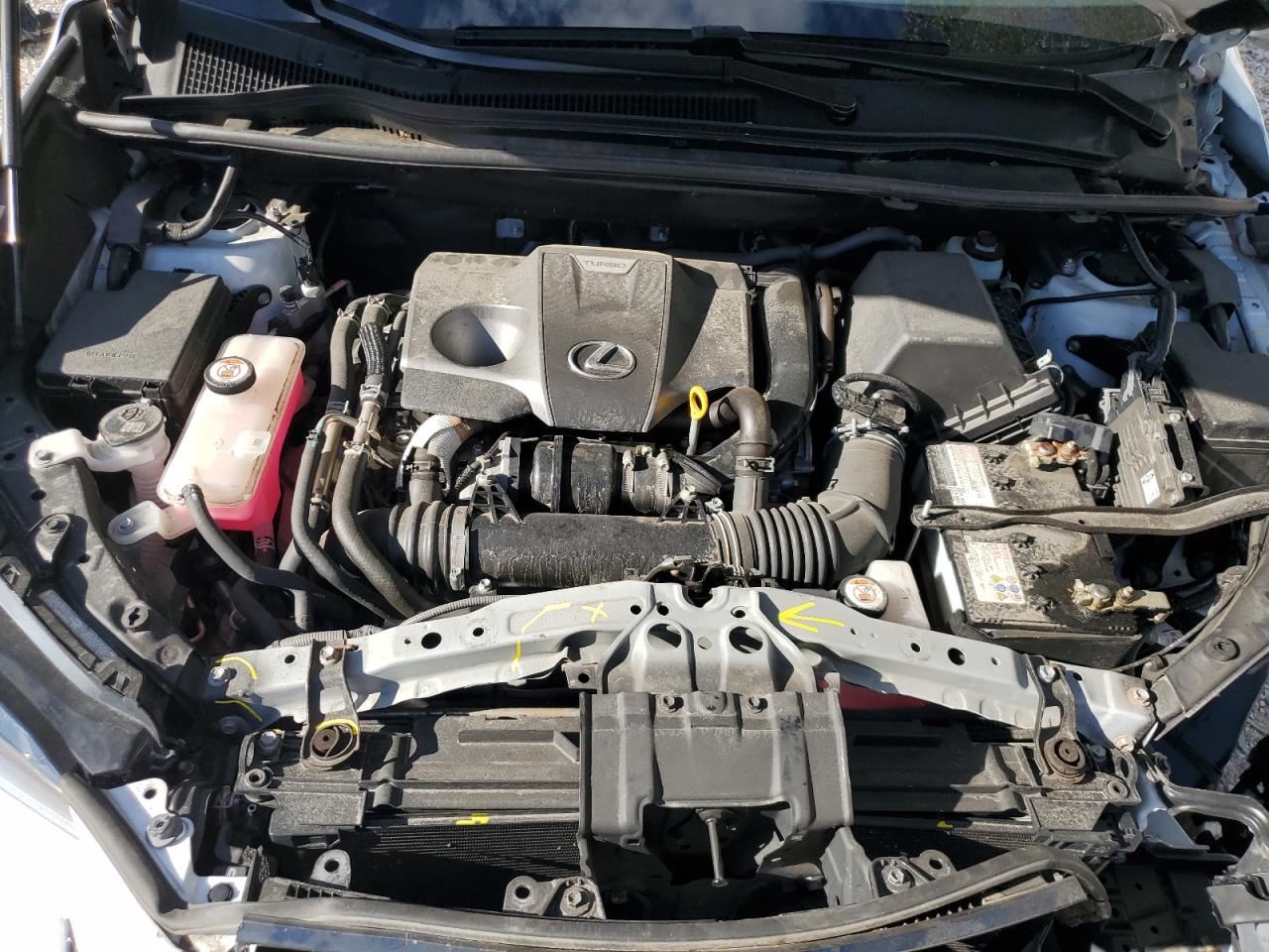 2021 Lexus Nx 300 Base VIN: JTJSARDZ8M2237488 Lot: 81916165