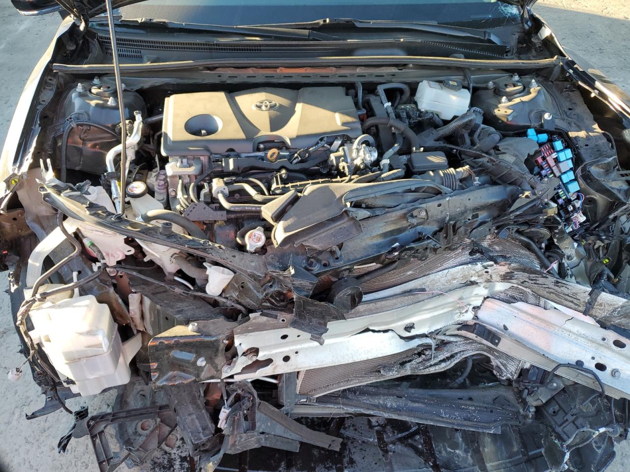 2021 Toyota Camry Le VIN: 4T1C31AK9MU025628 Lot: 84954905