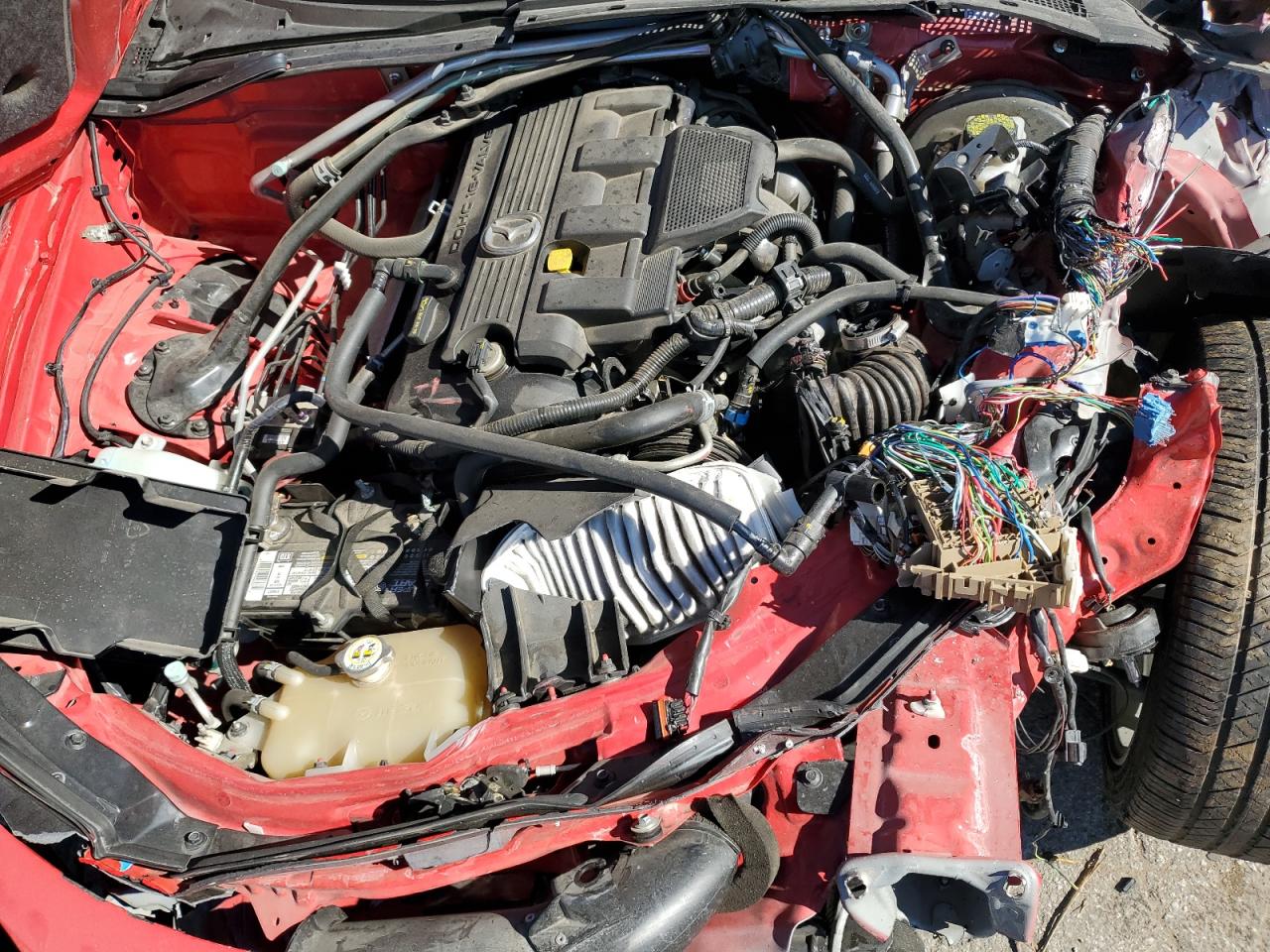 2009 Mazda Mx-5 Miata VIN: JM1NC25F490200236 Lot: 85649405