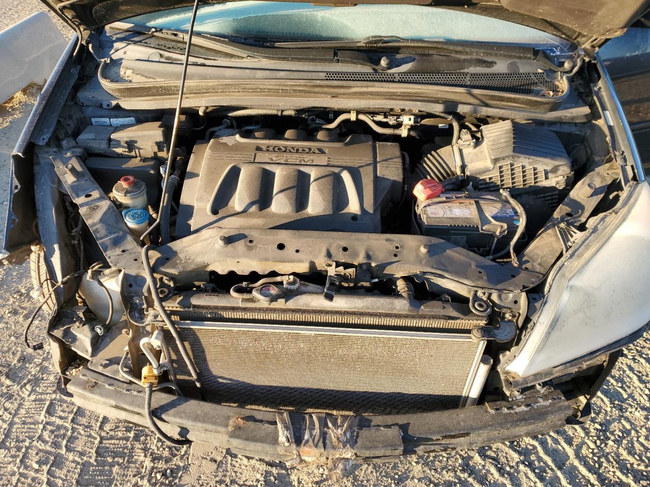 2009 Honda Odyssey Exl VIN: 5FNRL38719B501320 Lot: 85714365