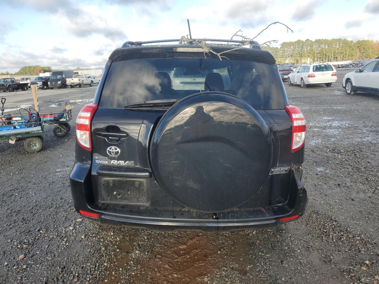 2009 Toyota Rav4 VIN: 2T3ZF33V69W010443 Lot: 90376165