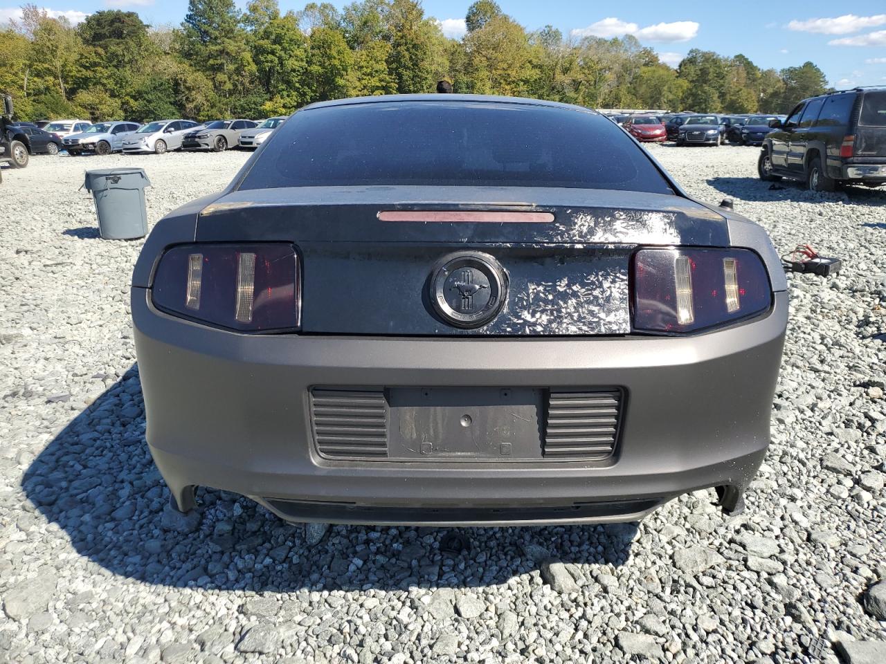 2013 Ford Mustang VIN: 1ZVBP8AM8D5207309 Lot: 82277325