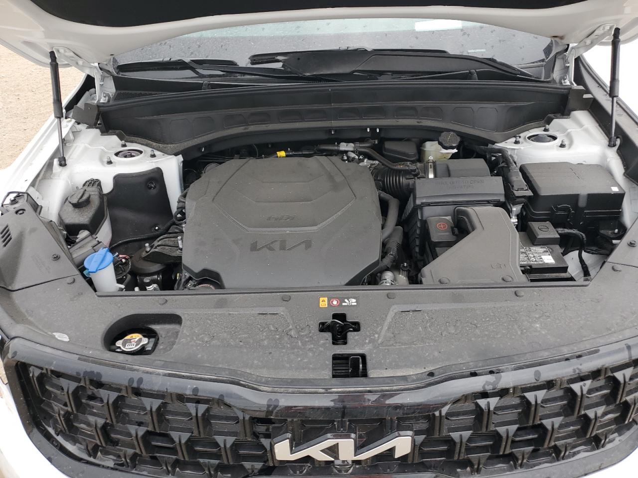 2024 Kia Telluride Sx VIN: 5XYP5DGCXRG563166 Lot: 85540525