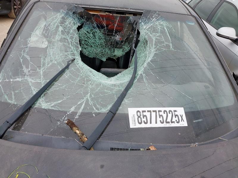 2019 HYUNDAI I30 2.0T GDI N PERFORMANCE 5DR