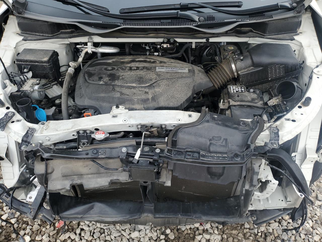 2019 Honda Odyssey Touring VIN: 5FNRL6H81KB045416 Lot: 82307175