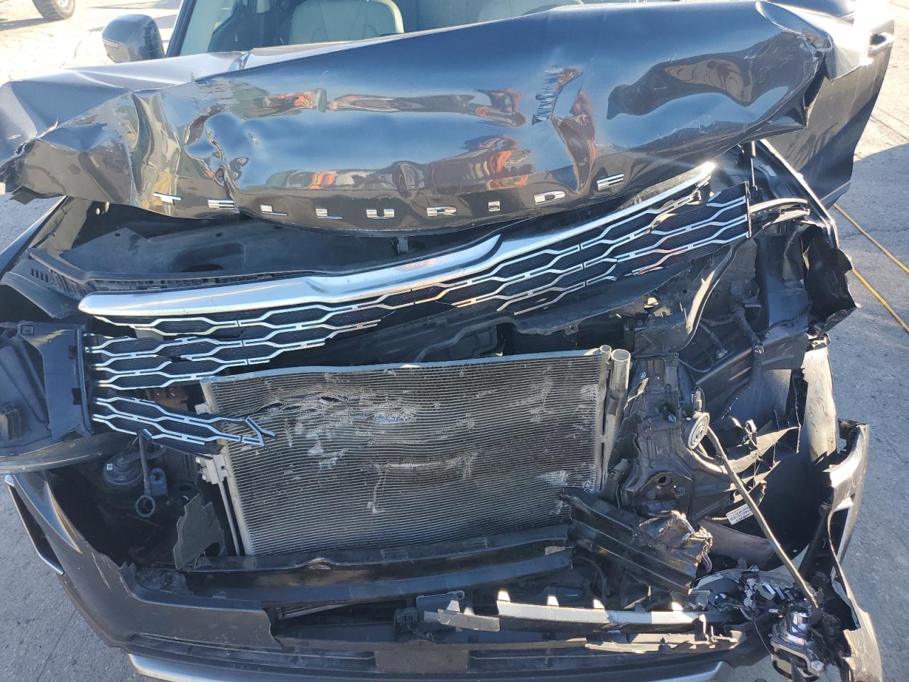 2021 Kia Telluride Ex VIN: 5XYP3DHC6MG106660 Lot: 85861135