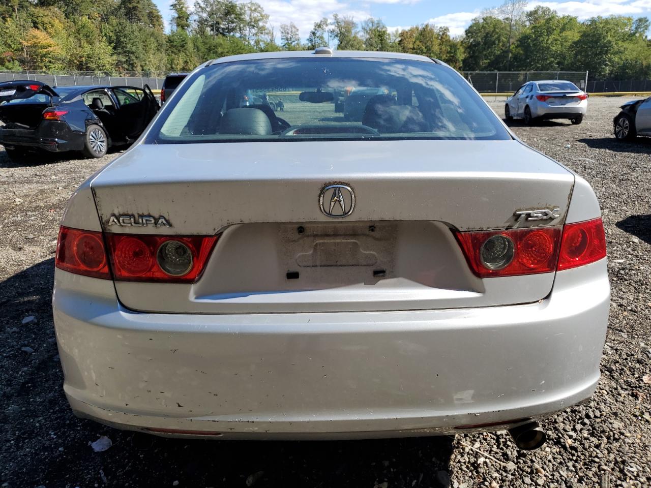 2006 Acura Tsx VIN: JH4CL96896C030738 Lot: 85843565