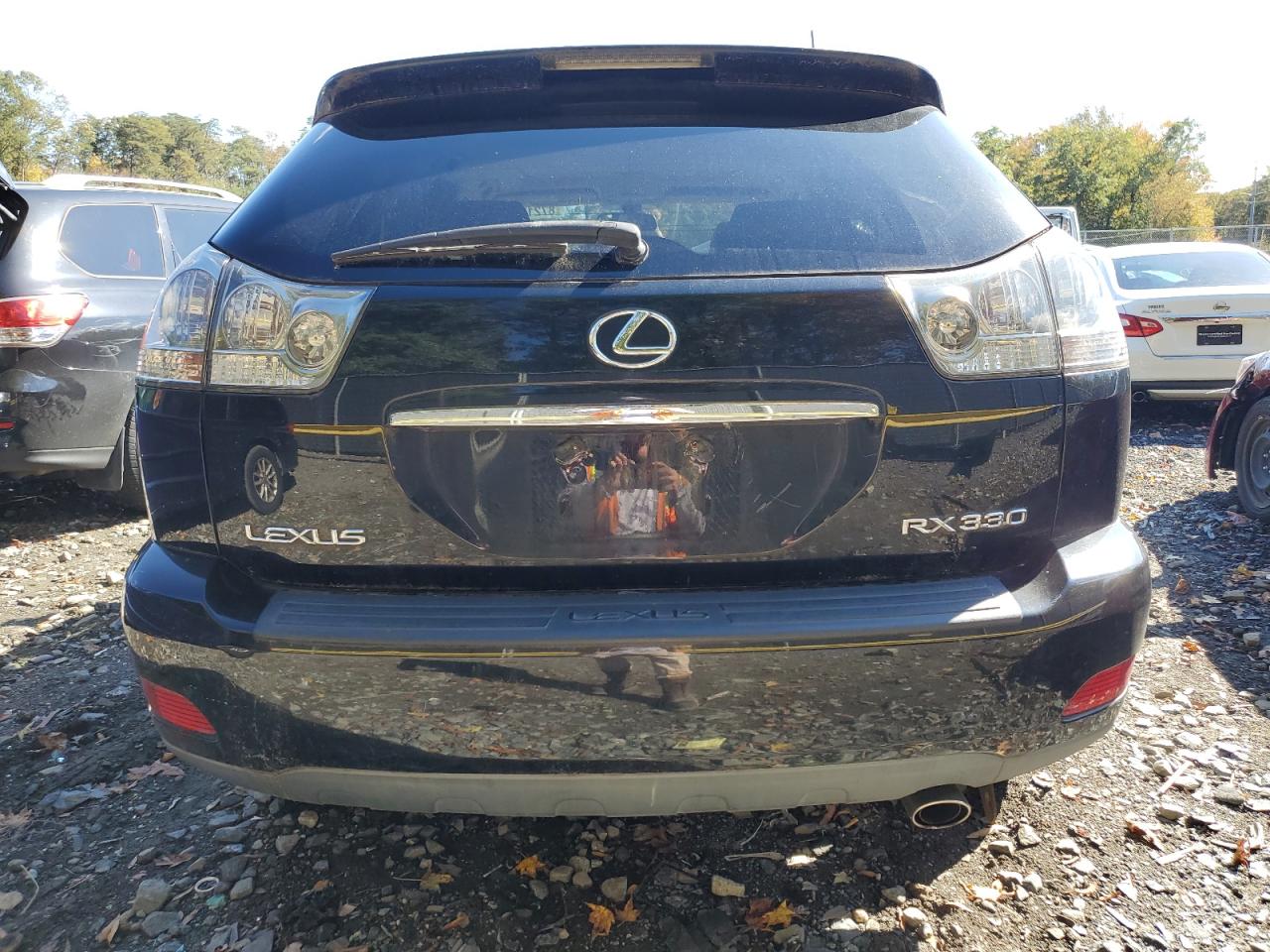 2005 Lexus Rx 330 VIN: 2T2HA31U45C084920 Lot: 87217325