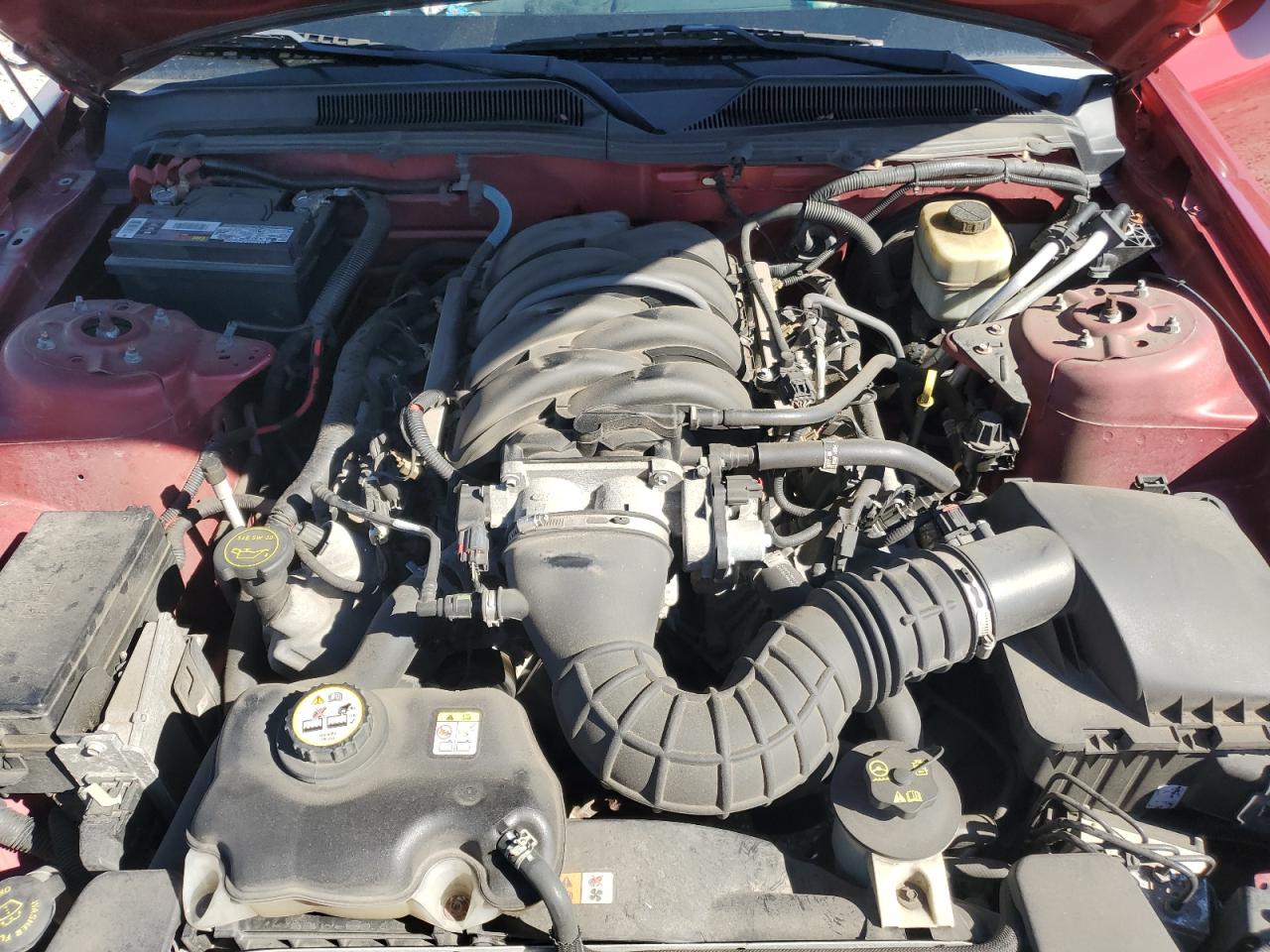 2005 Ford Mustang Gt VIN: 1ZVFT82H855218777 Lot: 86161145