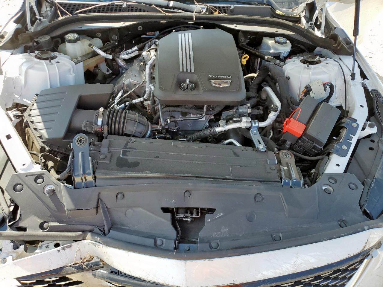 2020 Cadillac Ct5 Premium Luxury VIN: 1G6DT5RK1L0101064 Lot: 82329635