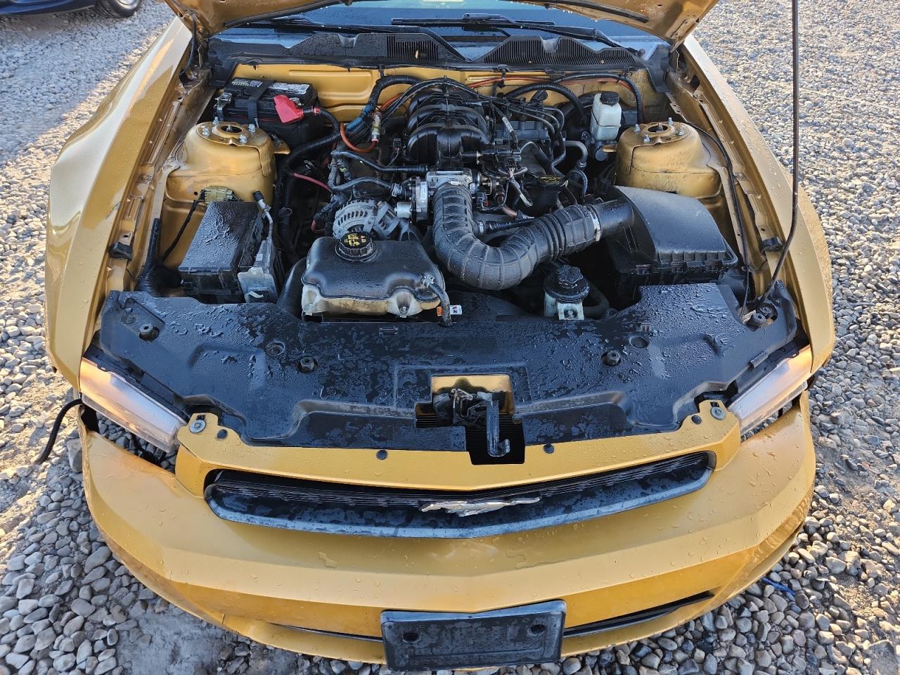 2010 Ford Mustang VIN: 1ZVBP8EN5A5167639 Lot: 85104495