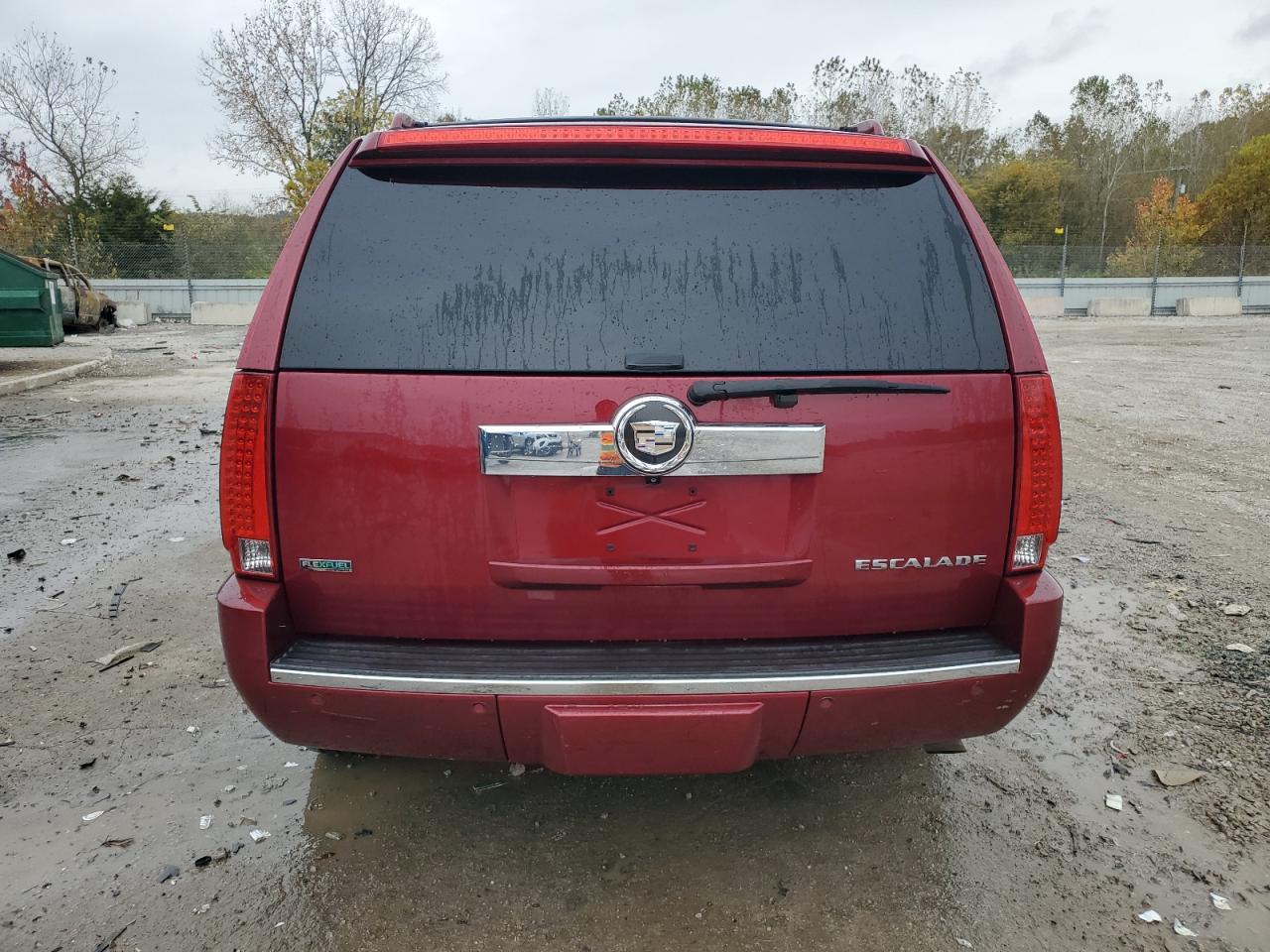 2010 Cadillac Escalade Premium VIN: 1GYUKCEF5AR209705 Lot: 90145355