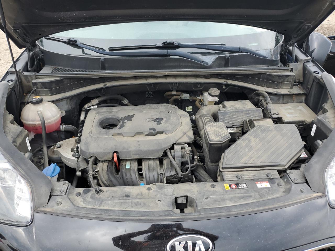 2022 Kia Sportage Lx VIN: KNDPM3AC5N7991157 Lot: 85939525