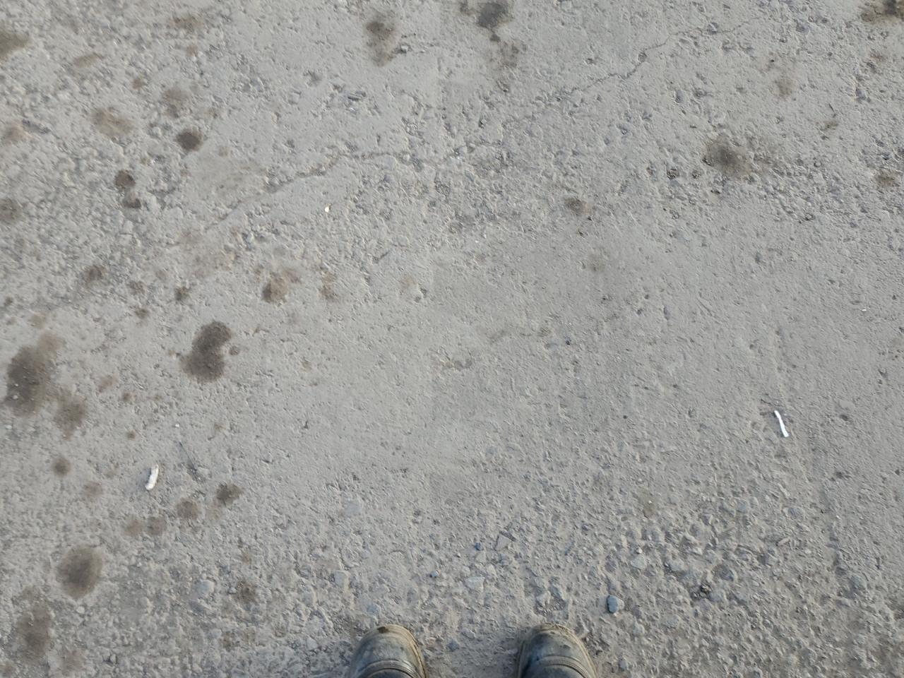 2020 Chevrolet Silverado K1500 Custom VIN: 1GCRYBEK8LZ220606 Lot: 82350495