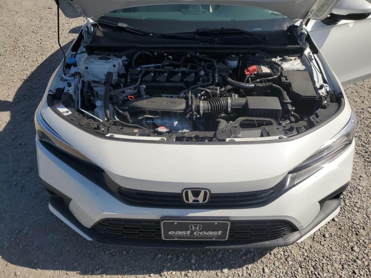 2024 Honda Civic VIN: 2HGFE1F90RH321389 Lot: 80616005