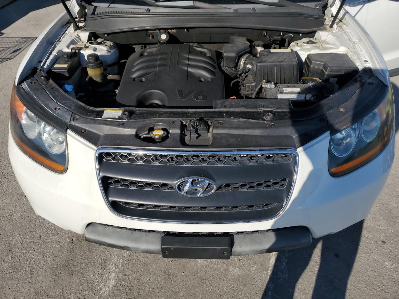 2008 Hyundai Santa Fe Se VIN: 5NMSH73E48H218276 Lot: 86331975