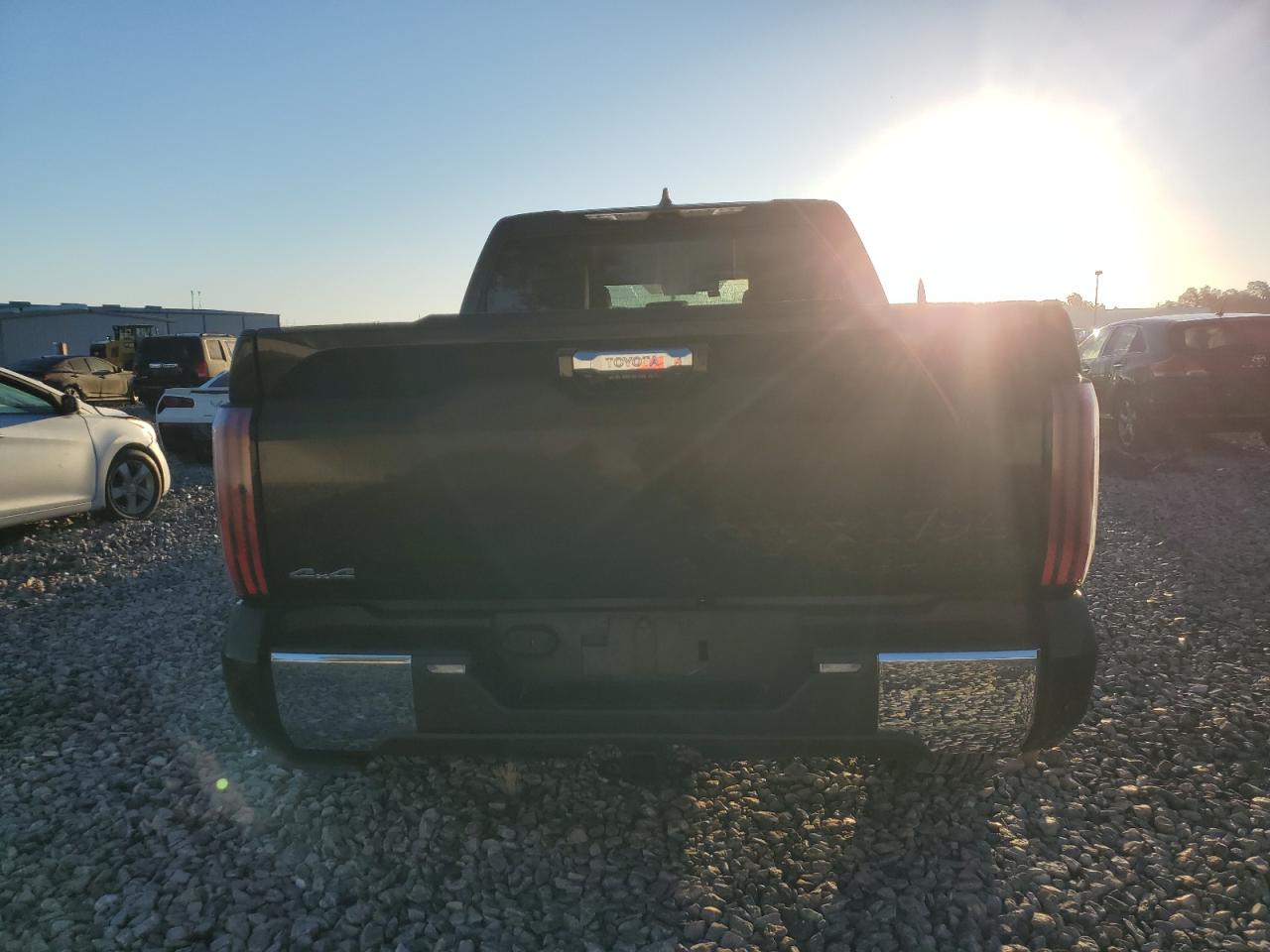 2025 Toyota Tundra Crewmax Platinum VIN: 5TFMA5DB9SX274055 Lot: 86487325