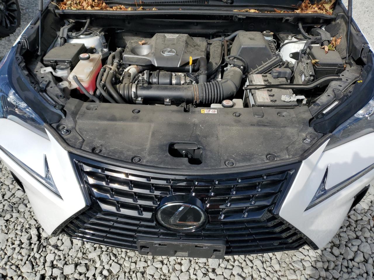 2020 Lexus Nx 300 VIN: JTJGARDZXL2228702 Lot: 86670415