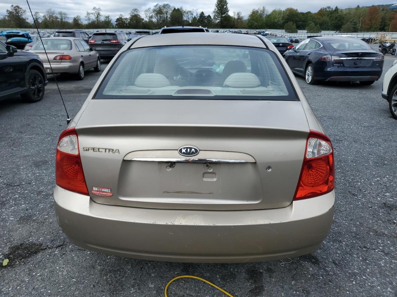 2004 Kia Spectra Lx VIN: KNAFE121045058980 Lot: 86114275