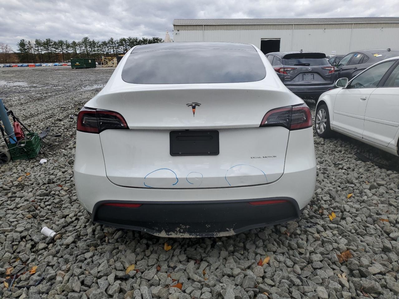 2023 Tesla Model Y VIN: 7SAYGDEE1PF614953 Lot: 90269435