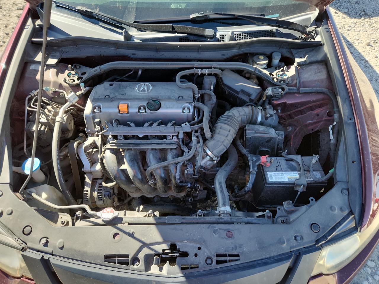 2009 Acura Tsx VIN: JH4CU256X9C002231 Lot: 82208575