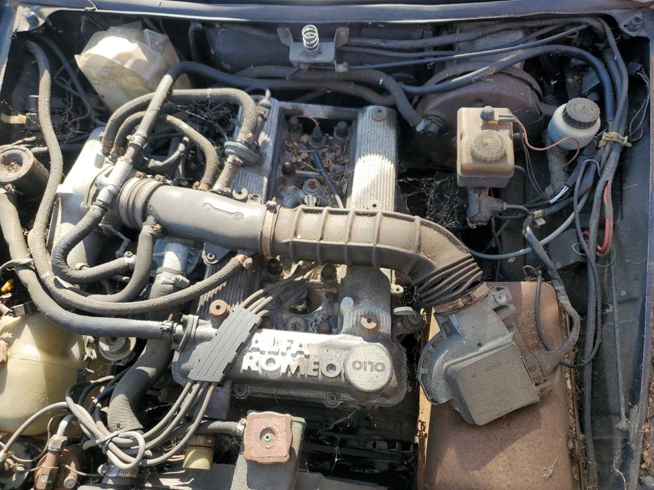 1987 Alfa Romeo Spider Quadrifoglio VIN: ZARBA5562H1052788 Lot: 85068625