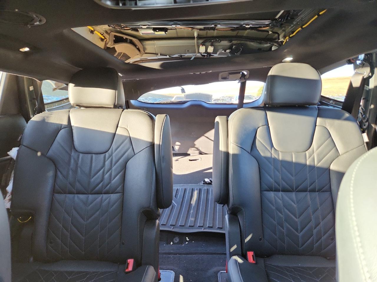 2024 Kia Telluride Sx VIN: 5XYP5DGC1RG454711 Lot: 84781205