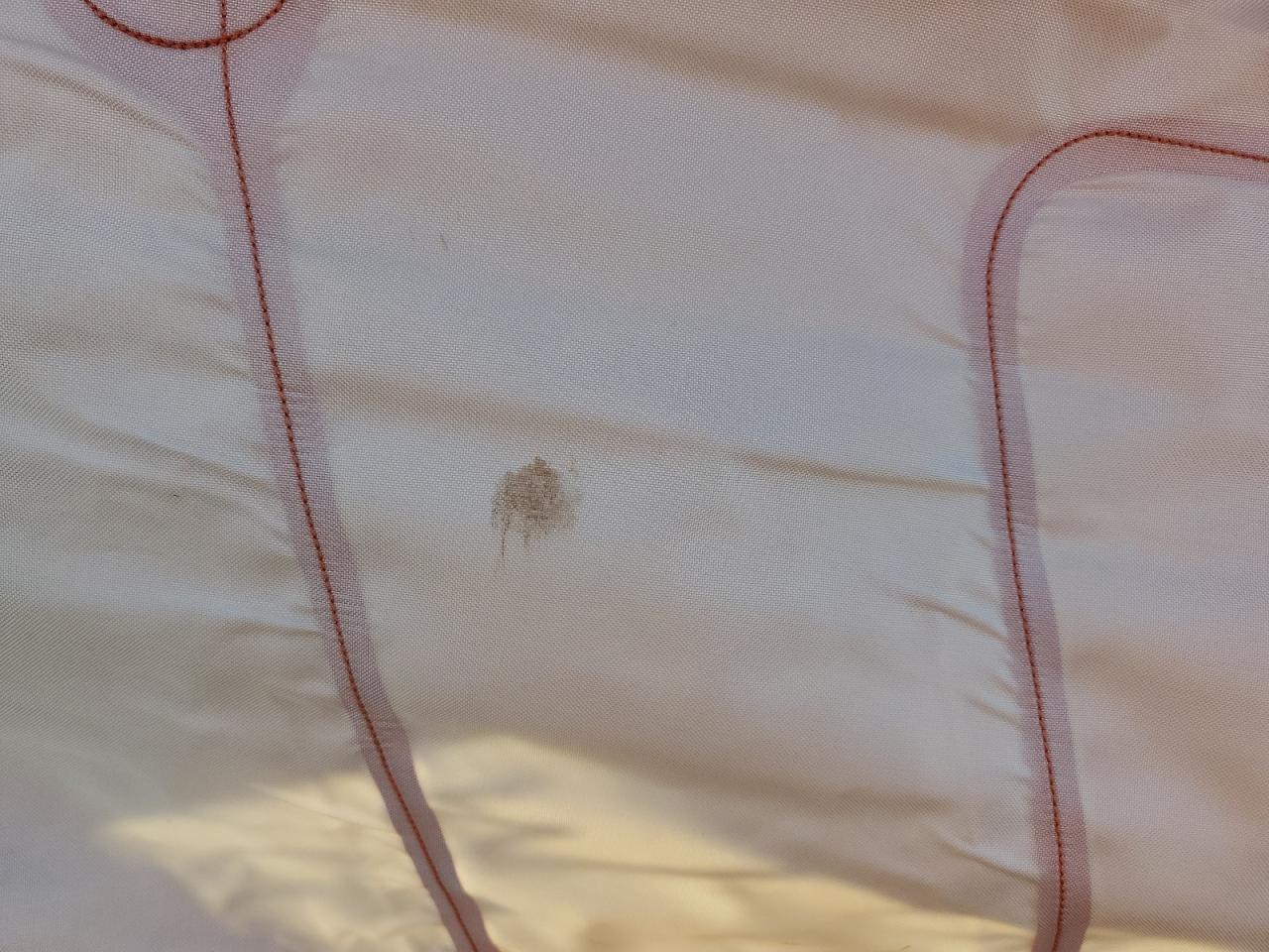 2010 Chevrolet Camaro Ls VIN: 2G1FA1EV0A9175849 Lot: 84979775