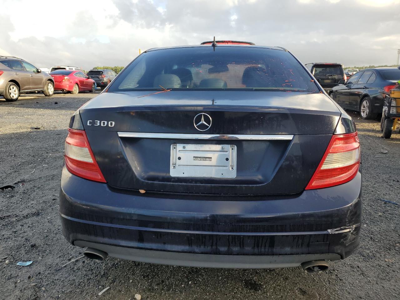 2010 Mercedes-Benz C 300 VIN: WDDGF5EB7AR098225 Lot: 84482665
