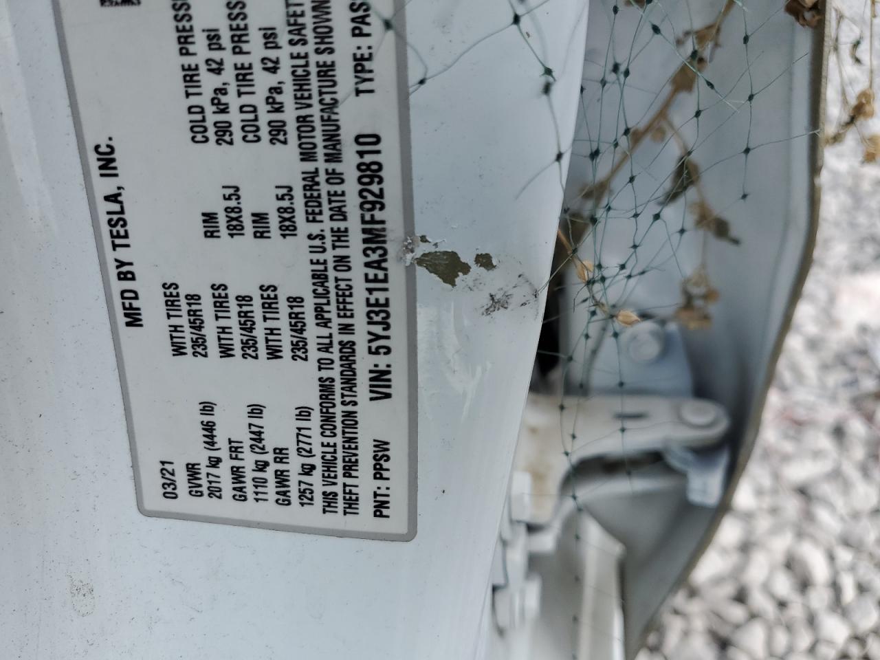 2021 Tesla Model 3 VIN: 5YJ3E1EA3MF929810 Lot: 85266365