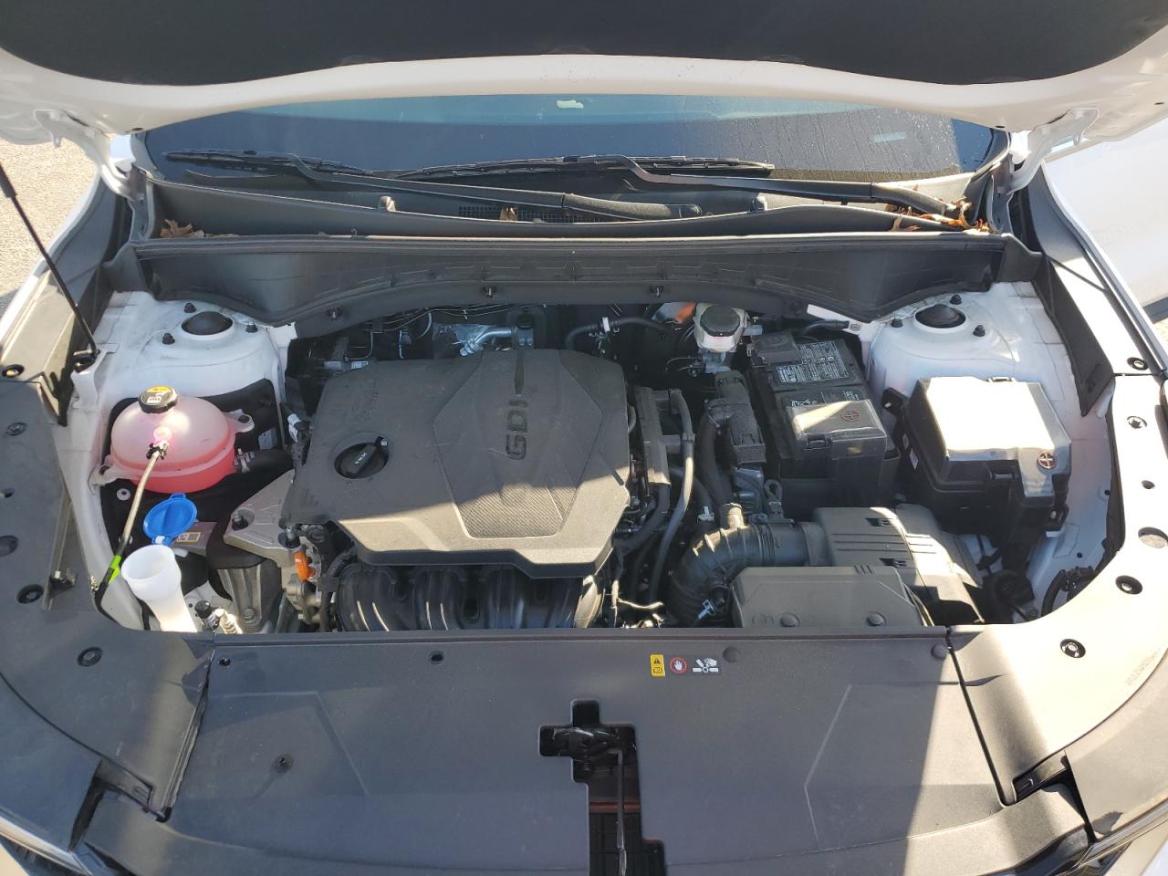 2025 Kia Sorento S VIN: 5XYRLDJC4SG319994 Lot: 84351295