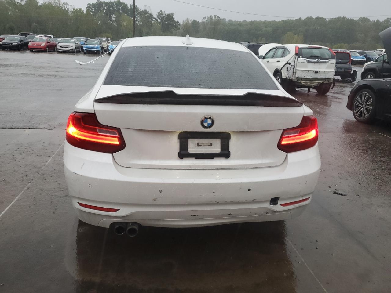 2014 BMW 228 I VIN: WBA1F5C55EV255855 Lot: 82260335