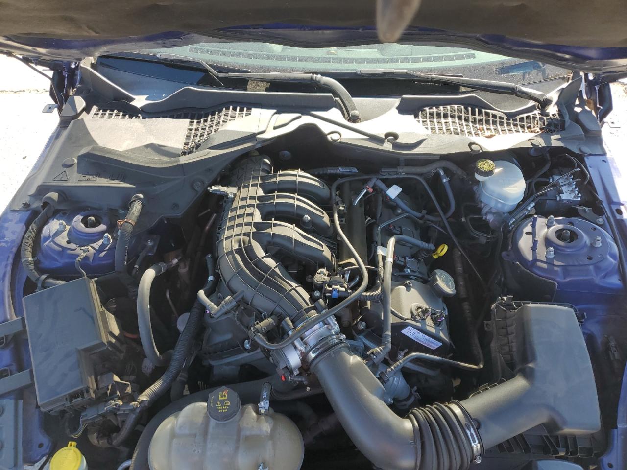 2016 Ford Mustang VIN: 1FA6P8AMXG5323657 Lot: 82770335