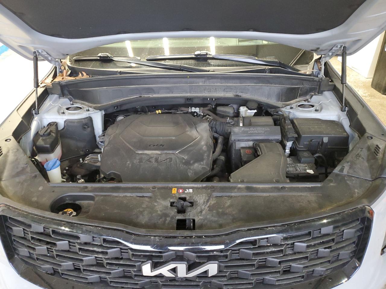 2022 Kia Telluride Sx VIN: 5XYP5DHC3NG322106 Lot: 86654435