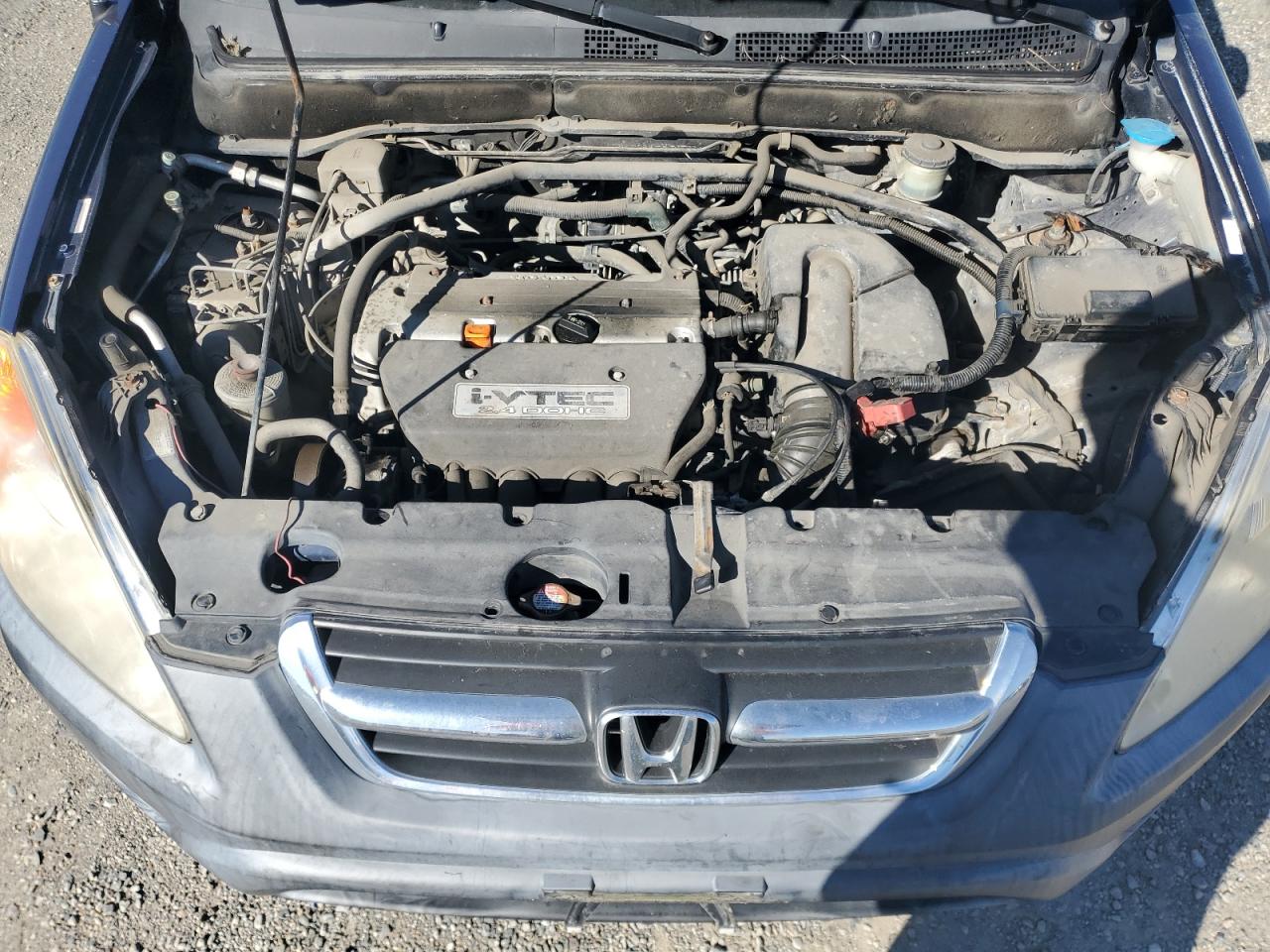 2004 Honda Cr-V Ex VIN: JHLRD78894C044570 Lot: 81783875