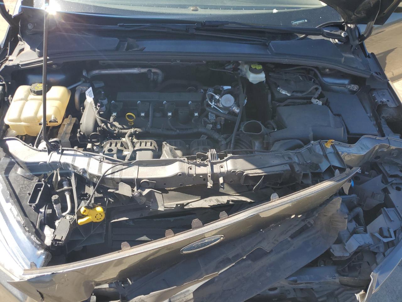 2017 Ford Focus Se VIN: 1FADP3K23HL224750 Lot: 81984225