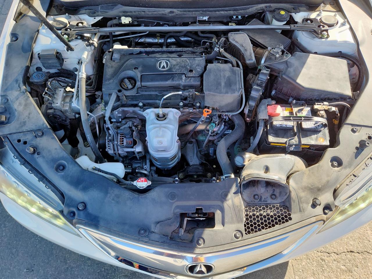 2017 Acura Tlx VIN: 19UUB1F31HA003046 Lot: 90098865