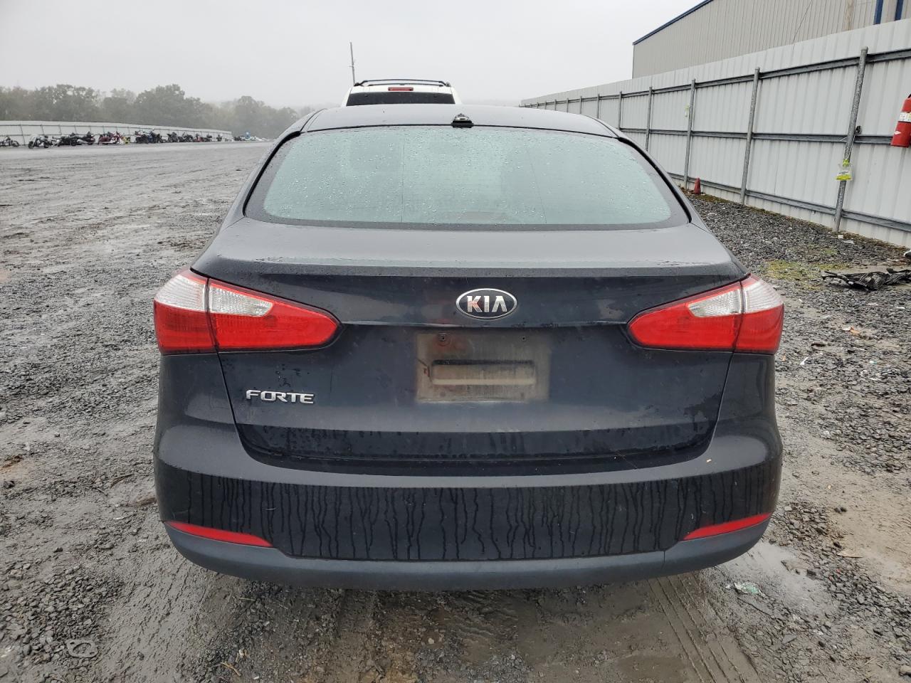 2016 Kia Forte Lx VIN: KNAFK4A65G5619248 Lot: 90230985